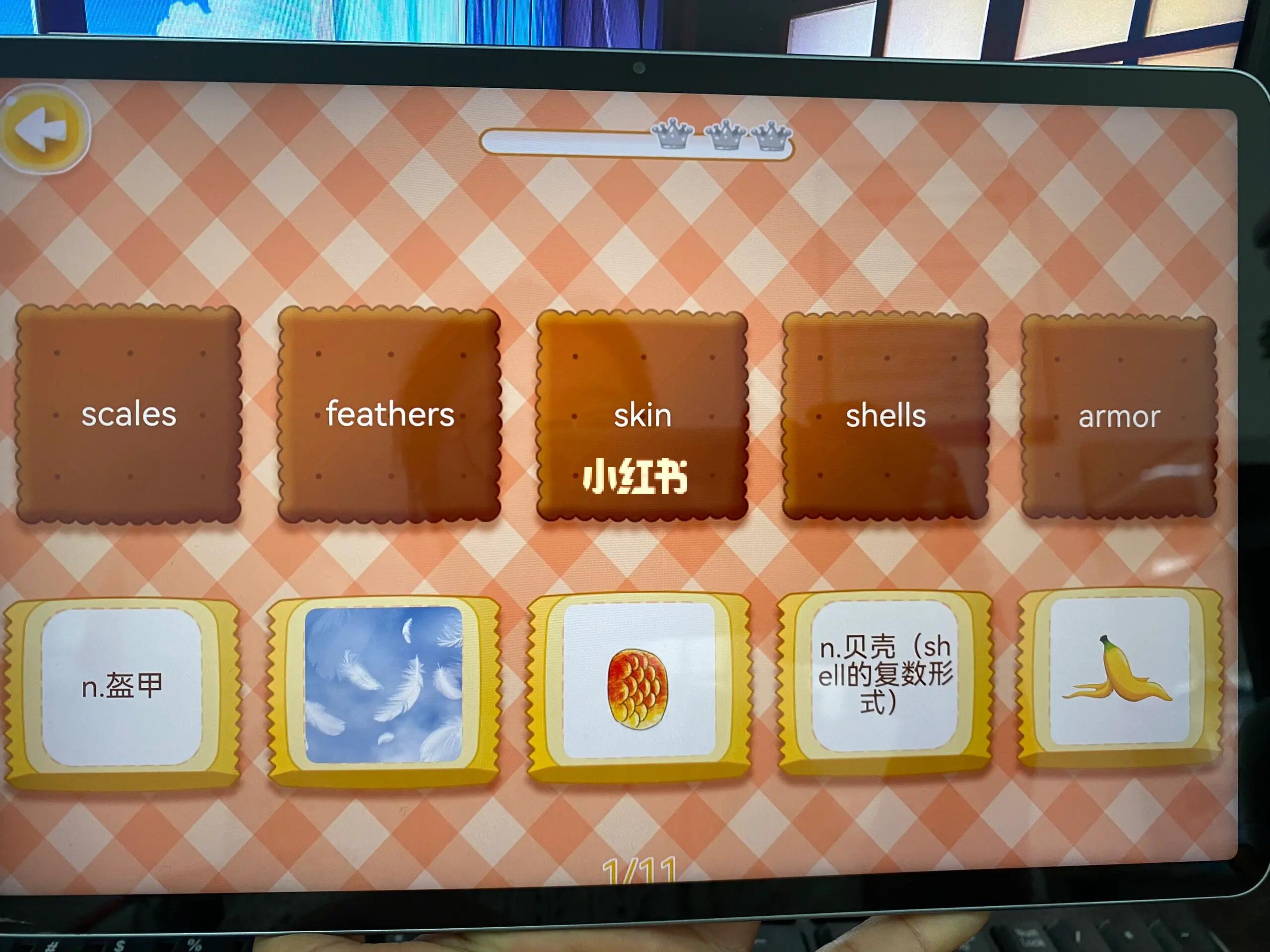 13400816736330296.jpeg